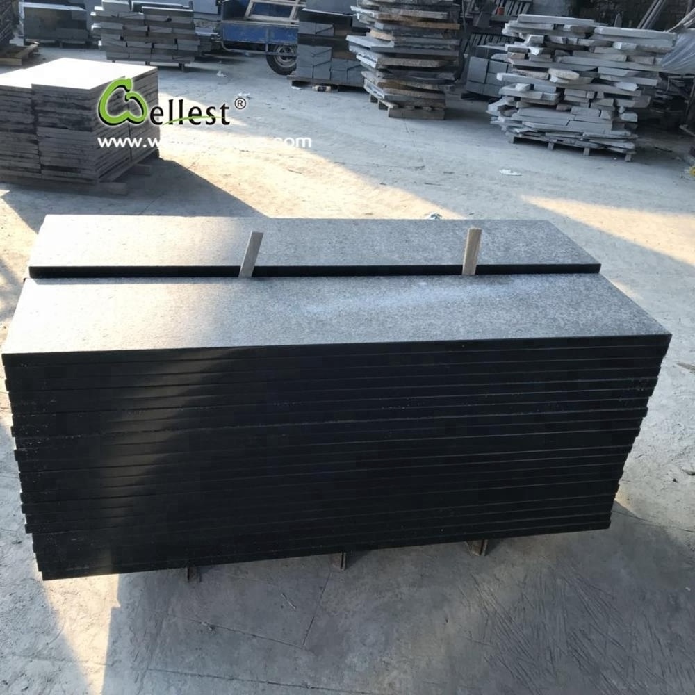 Flamed Black Basalt Steps With Sides Honed Finish