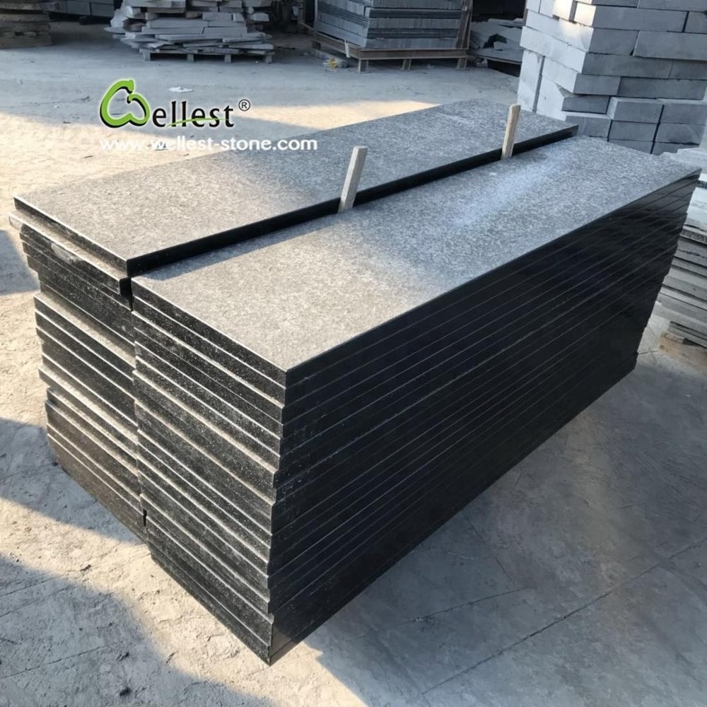 Flamed Black Basalt Steps With Sides Honed Finish