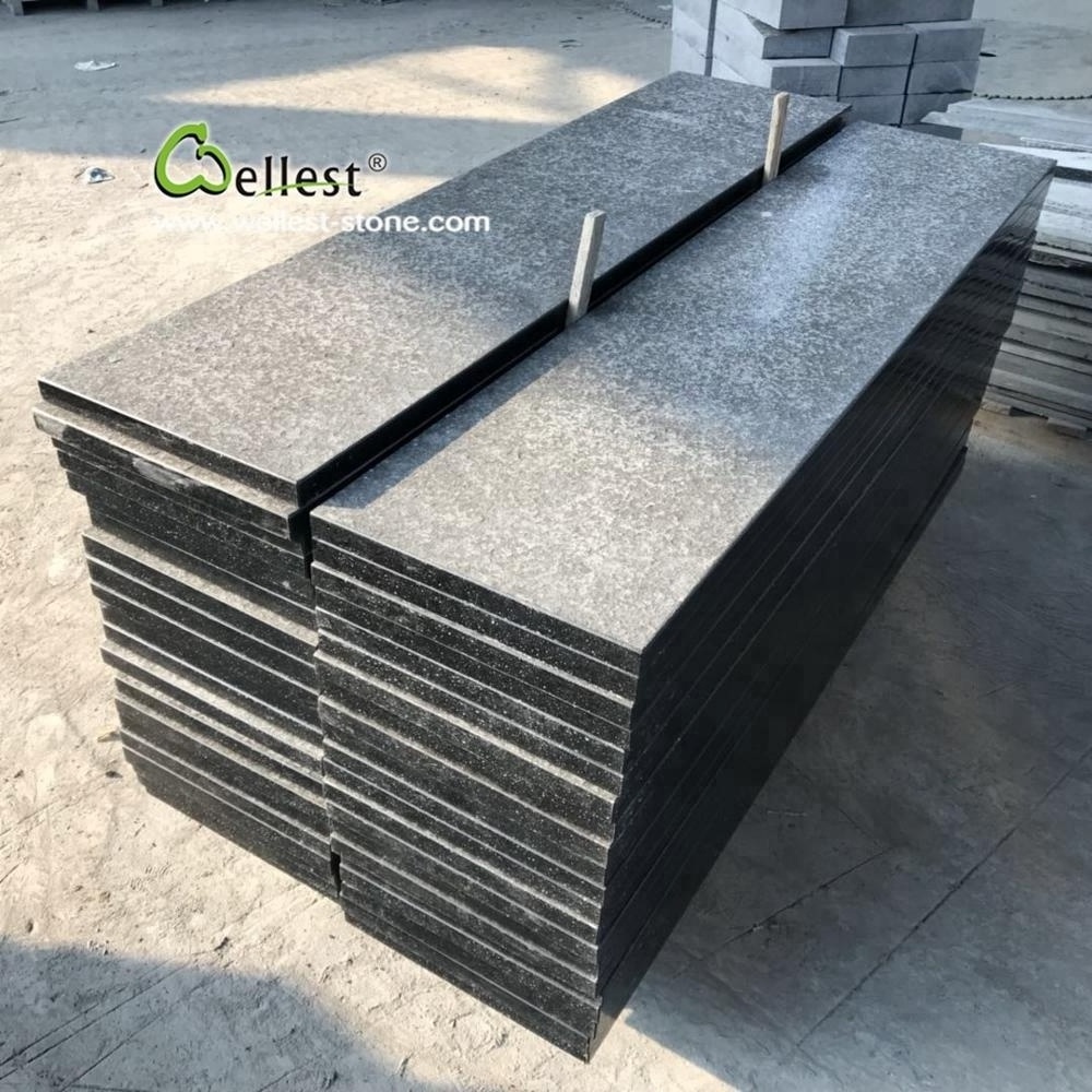 Flamed Black Basalt Steps With Sides Honed Finish