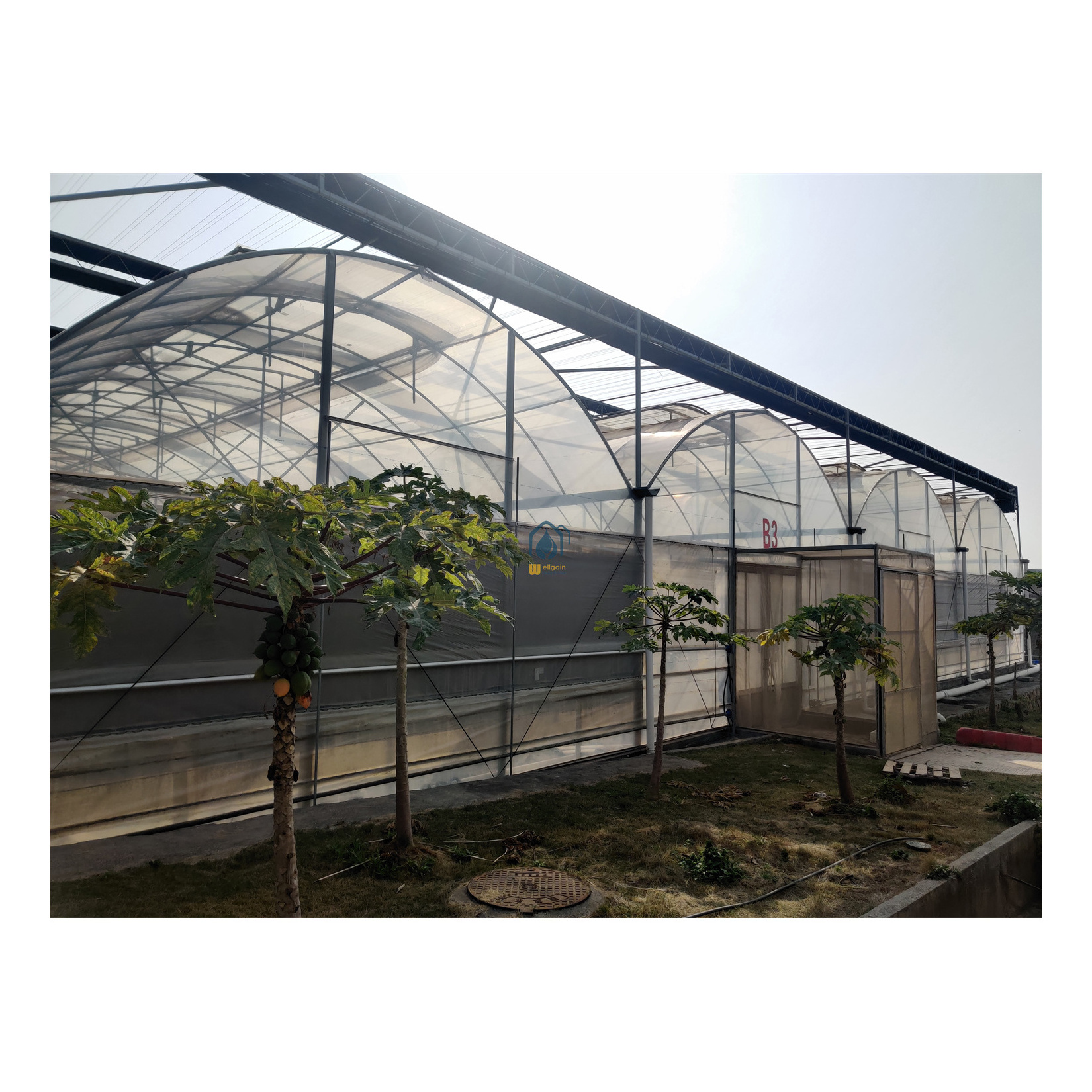 High quality china galvanized pipe greenhouse dome hoop house greenhouse manufacturers