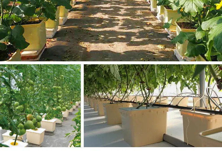 Food-Grade material greenhouse hydroponic growing system 11l dutch bucket hydroponics system