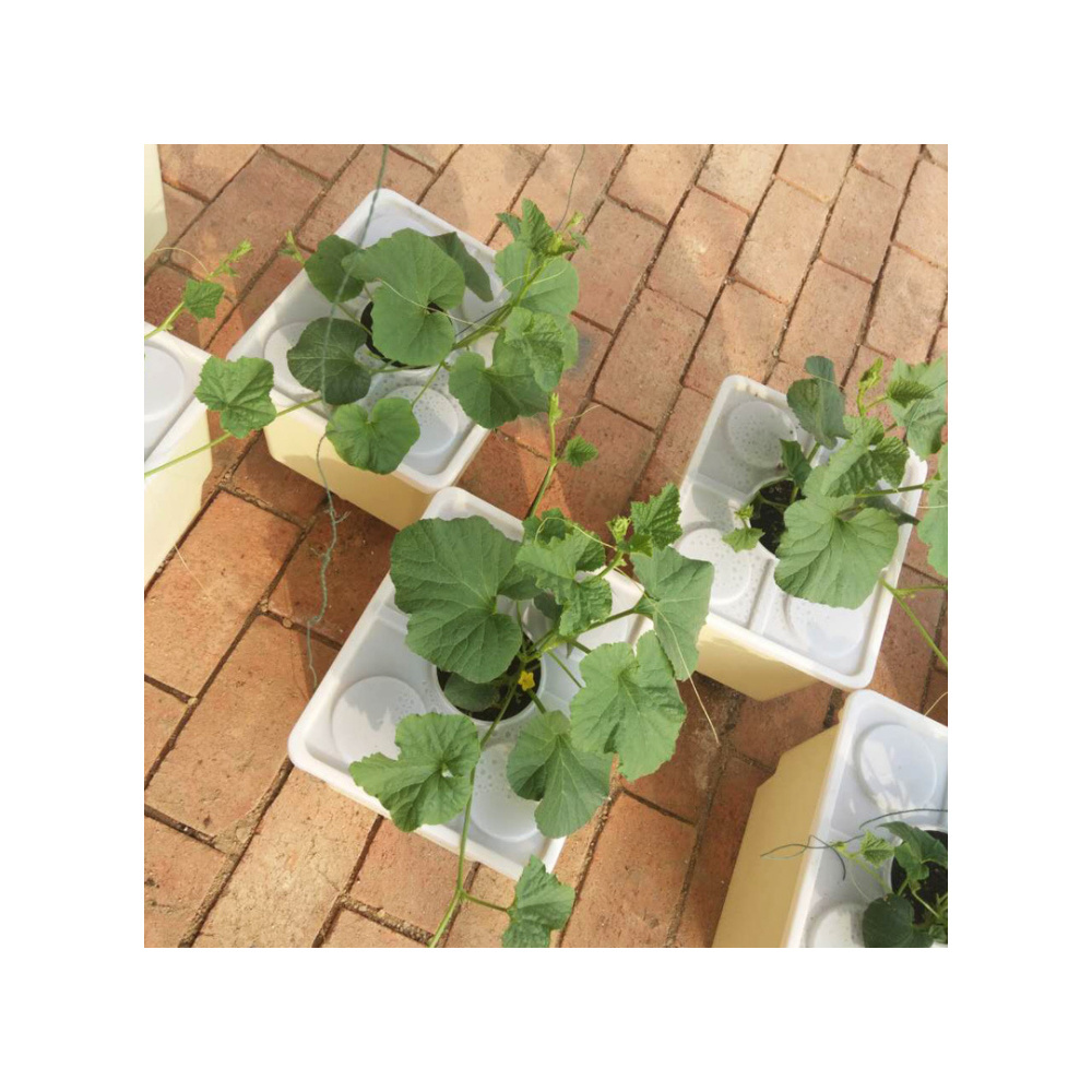 Food-Grade material greenhouse hydroponic growing system 11l dutch bucket hydroponics system