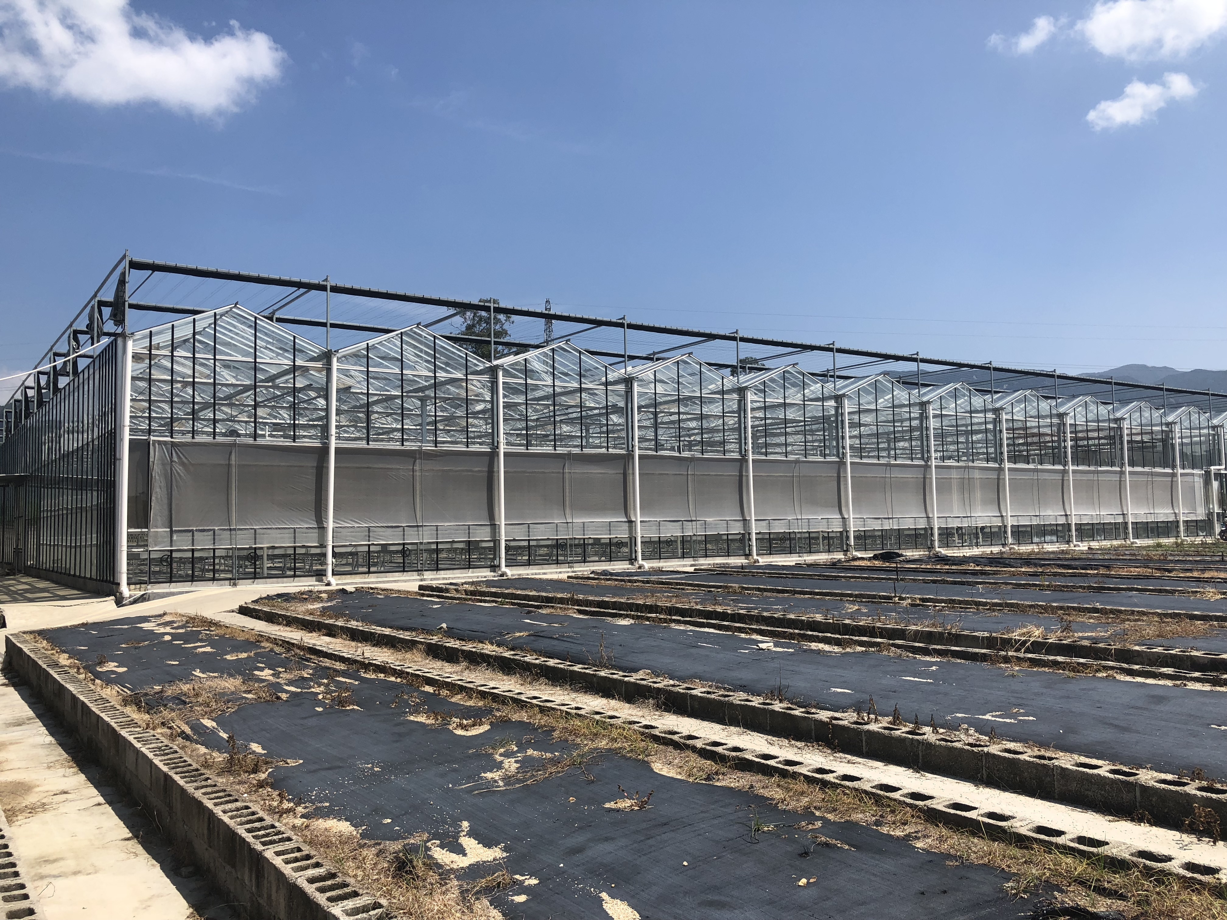 agriculture products agricultural bucket manufacturer used greenhouse glass for sale