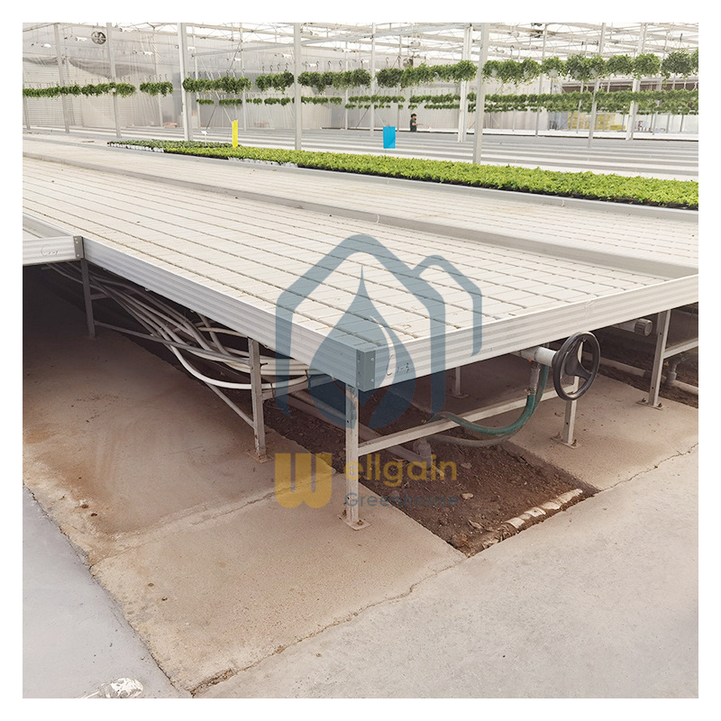 Greenhouse Ebb And Flow Seedbed Rolling Benches of Hydroponic System ebb and flow table