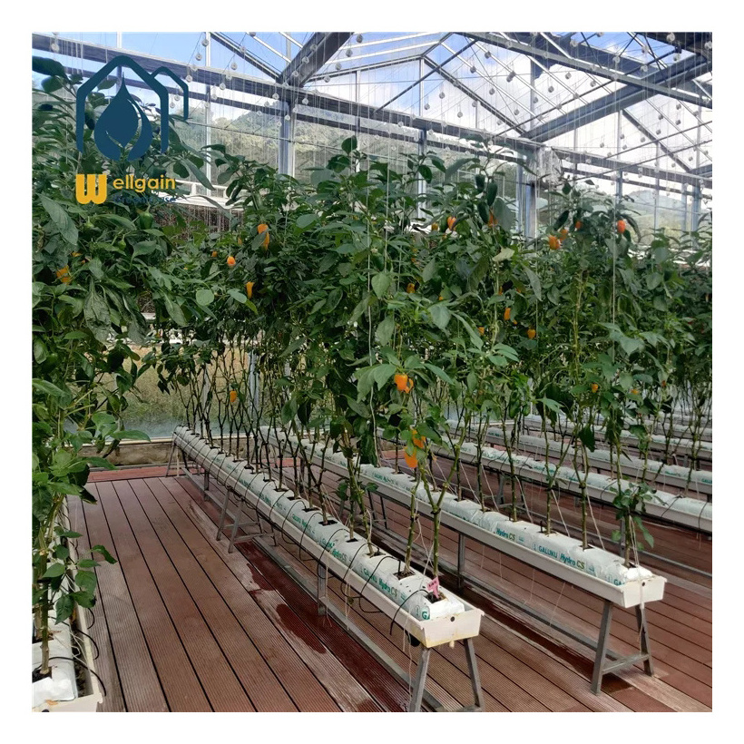 commercial greenhouse greenhouse price hydroponics grow systems