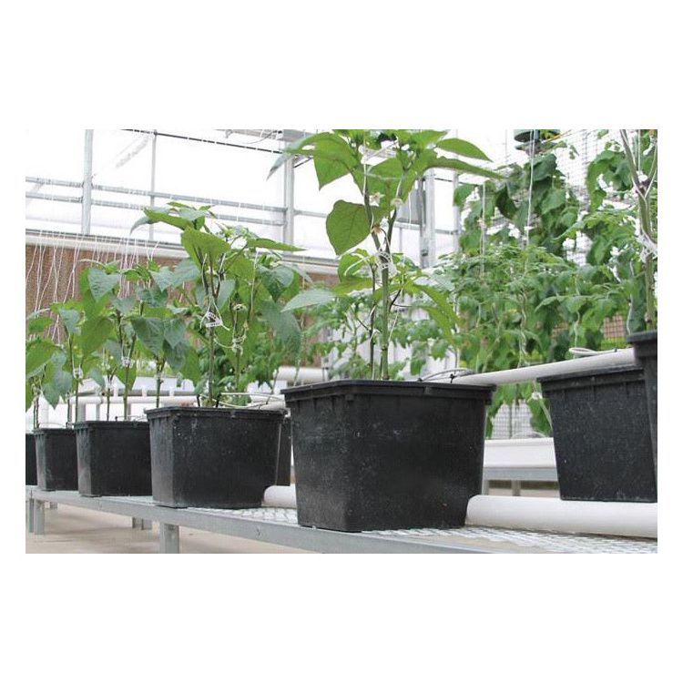 Food-Grade material greenhouse hydroponic growing system 11l dutch bucket hydroponics system