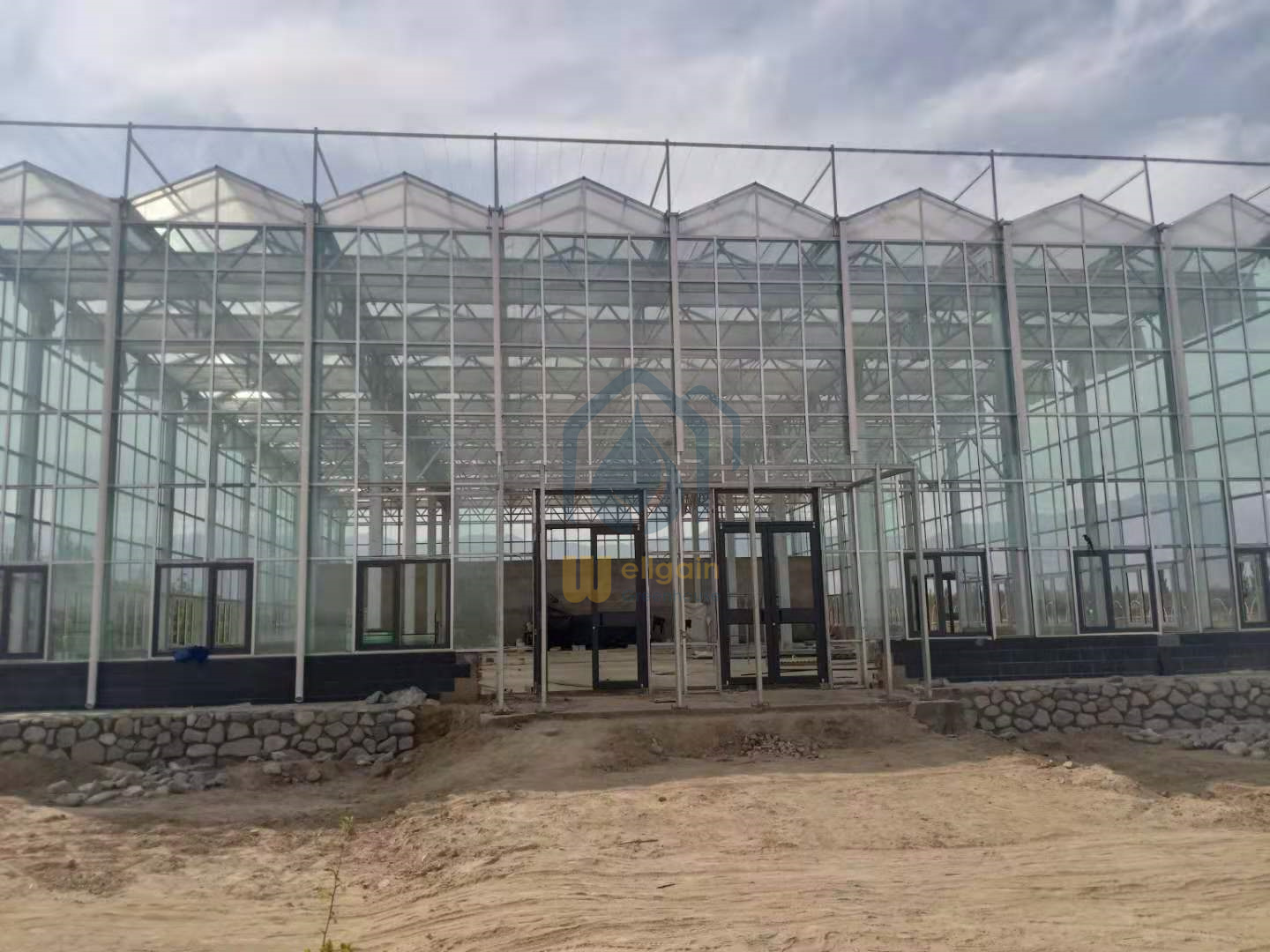 Commercial Greenhouse Cost Agricultural Venlo Vegetable Polycarbonate Hydroponics Greenhouse Steel Structure Used For Sale