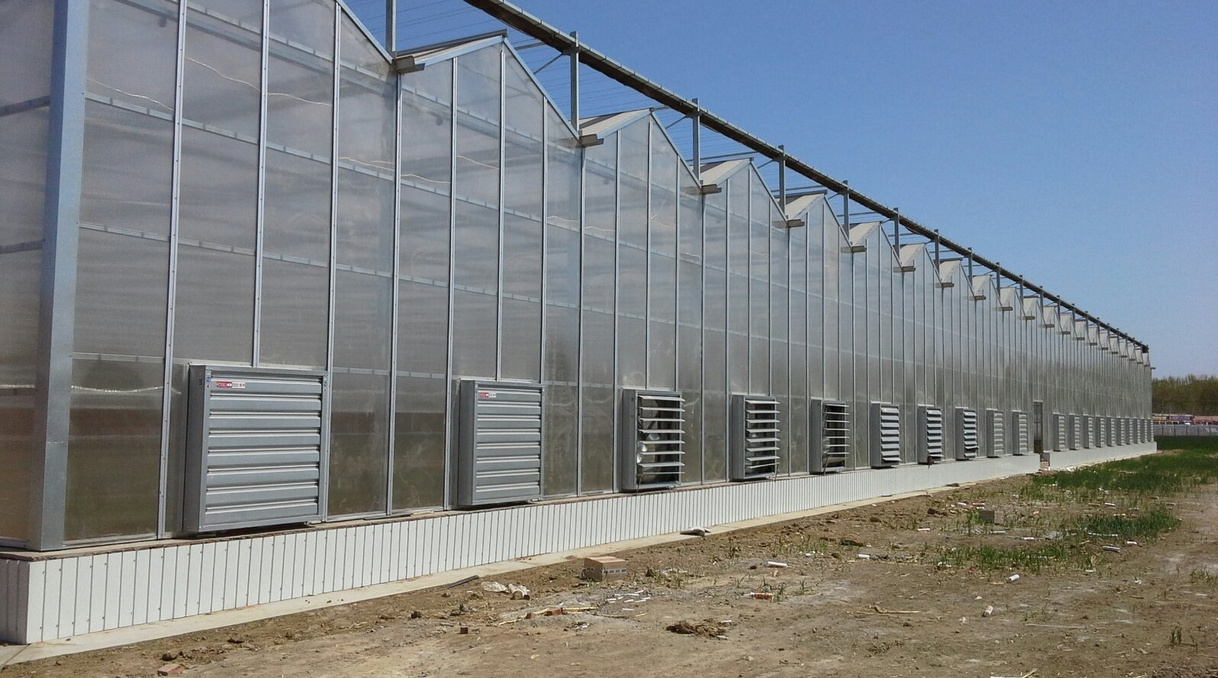 Commercial Greenhouse Cost Agricultural Venlo Vegetable Polycarbonate Hydroponics Greenhouse Steel Structure Used For Sale