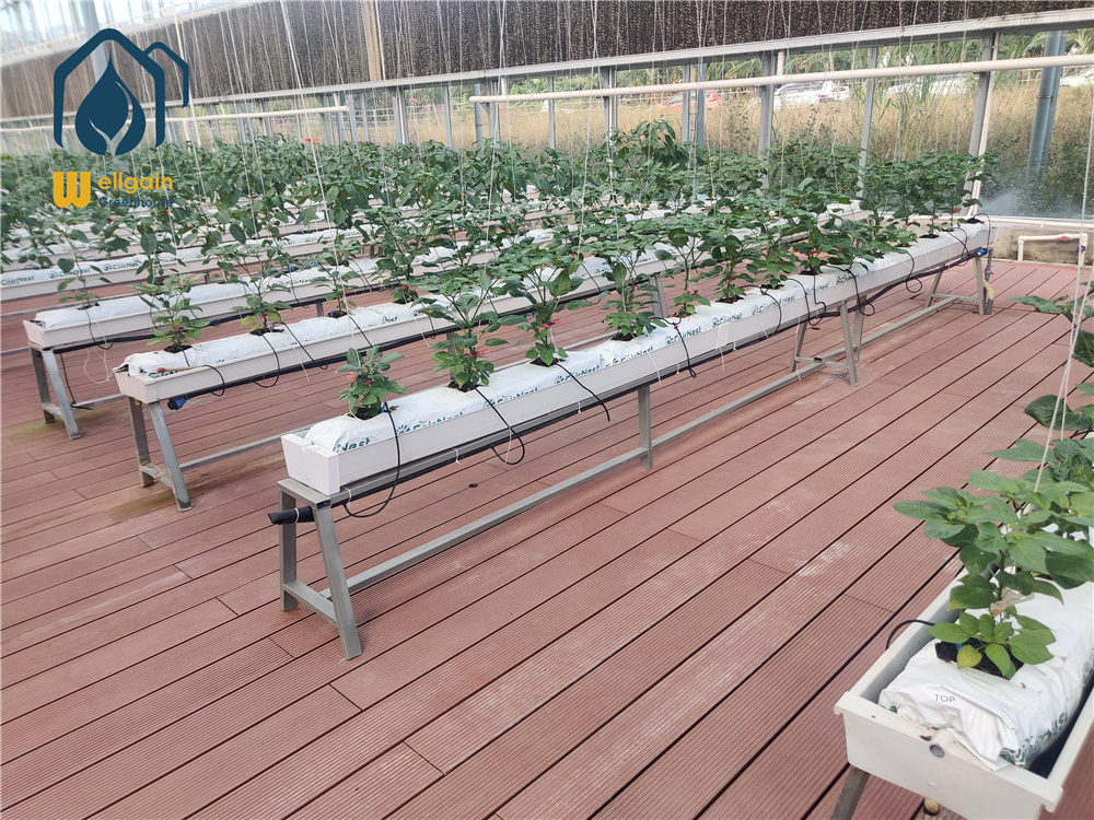 commercial greenhouse greenhouse price hydroponics grow systems