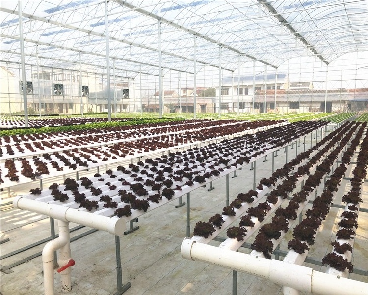 indoor hydroponic lettuce nft system grow trays hidroponica trough comercial lechuga cano canaleta hidroponia