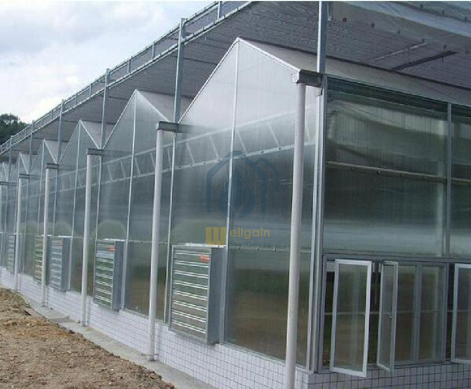 Commercial Greenhouse Cost Agricultural Venlo Vegetable Polycarbonate Hydroponics Greenhouse Steel Structure Used For Sale