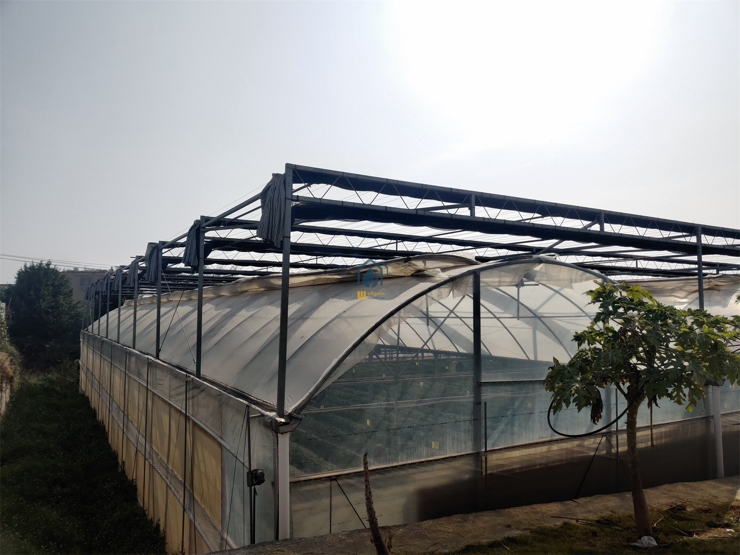 High quality china galvanized pipe greenhouse dome hoop house greenhouse manufacturers