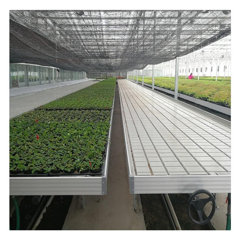 Greenhouse Ebb And Flow Seedbed Rolling Benches of Hydroponic System ebb and flow table