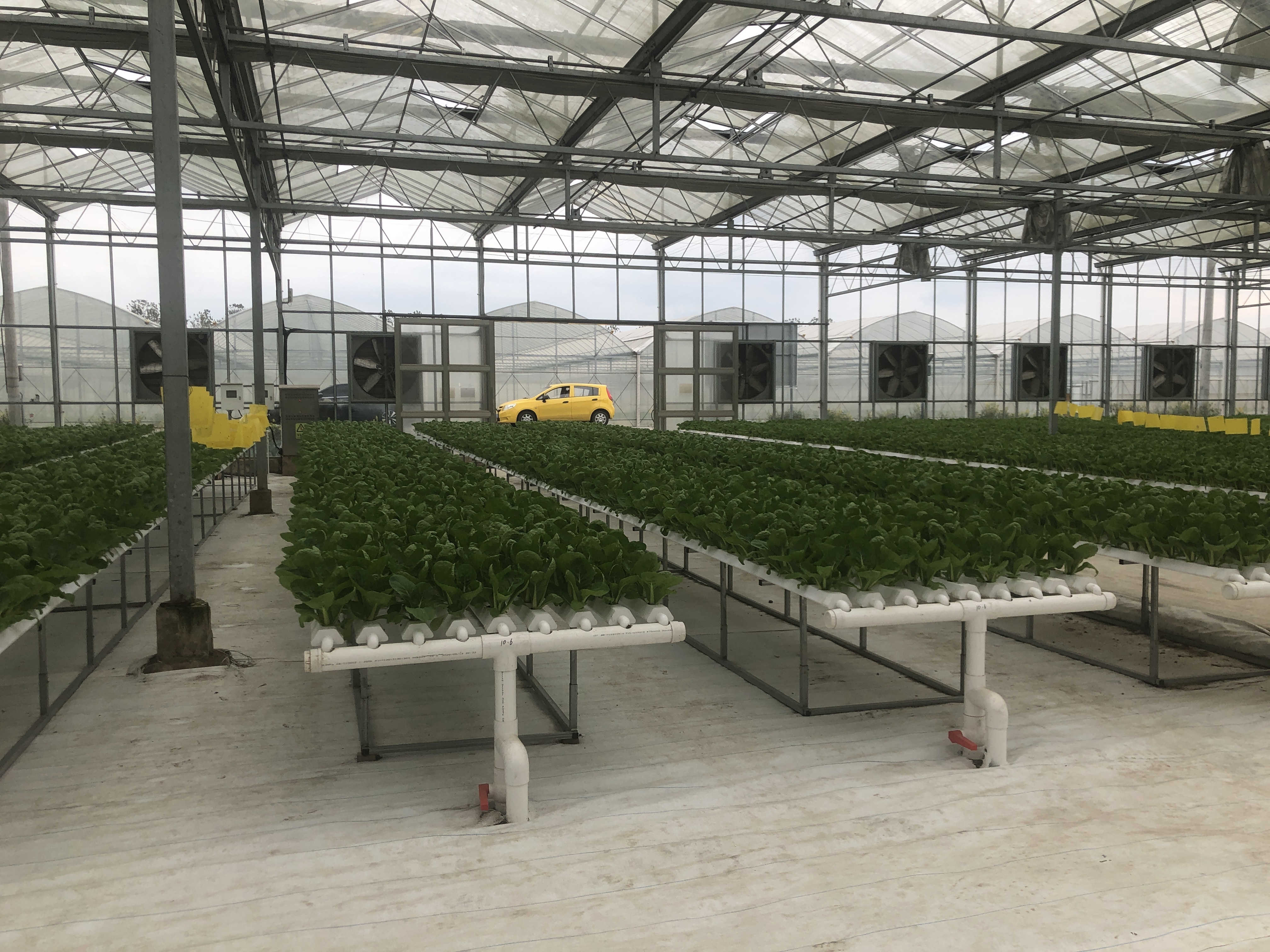 agriculture products agricultural bucket manufacturer used greenhouse glass for sale