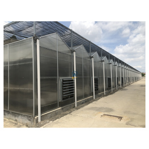 Commercial Greenhouse Cost Agricultural Venlo Vegetable Polycarbonate Hydroponics Greenhouse Steel Structure Used For Sale