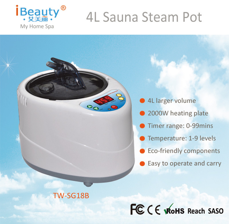 4L Electric Sauna Heater