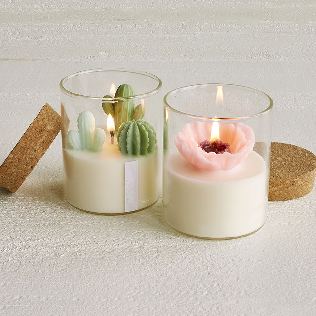 Lovely glass hold small plant flowers cactus shaped scented candles Home decor gift mini candles