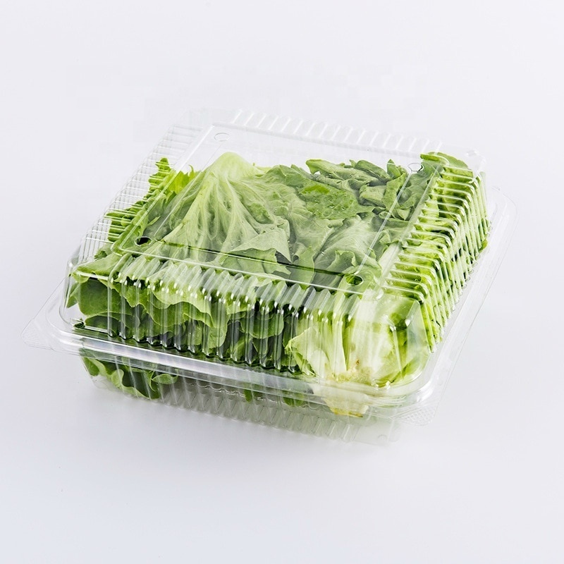 Disposable PET Clear Plastic Fruit and Vegetable Packaging Cherry Tomato Mushroom Packaging Box