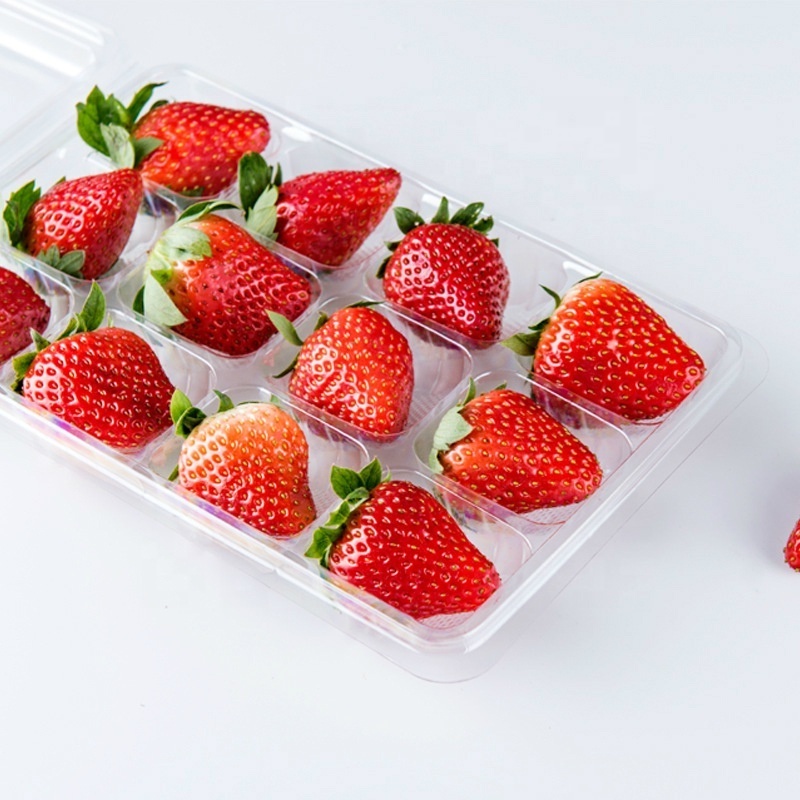 Eco Friendly PET Disposable Transparent Plastic Strawberry Punnet 12PCS Strawberry Packaging Container