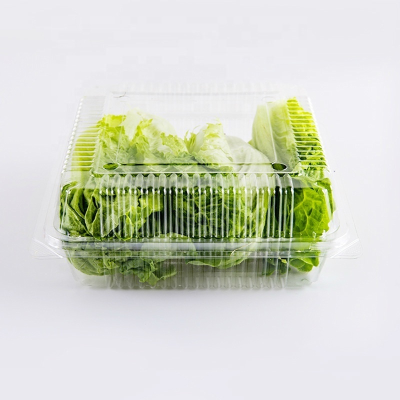 Disposable PET Clear Plastic Fruit and Vegetable Packaging Cherry Tomato Mushroom Packaging Box