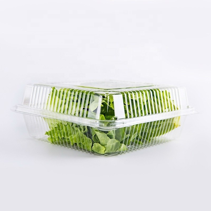 Disposable PET Clear Plastic Fruit and Vegetable Packaging Cherry Tomato Mushroom Packaging Box