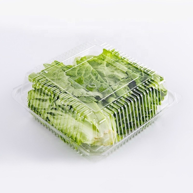 Disposable PET Clear Plastic Fruit and Vegetable Packaging Cherry Tomato Mushroom Packaging Box