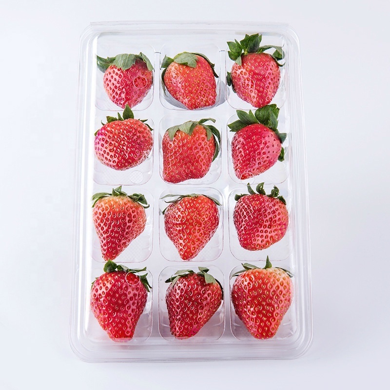 Eco Friendly PET Disposable Transparent Plastic Strawberry Punnet 12PCS Strawberry Packaging Container