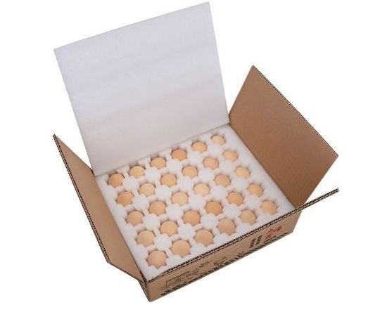 duck goose chicken egg organizer packing storage package container holder box cartons for chicken eggs