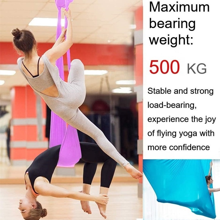 Wellshow Sport Aerial Yoga Hammock Yoga Swing Set Aerial Dance Equipment Strength training Starter Hardware kit