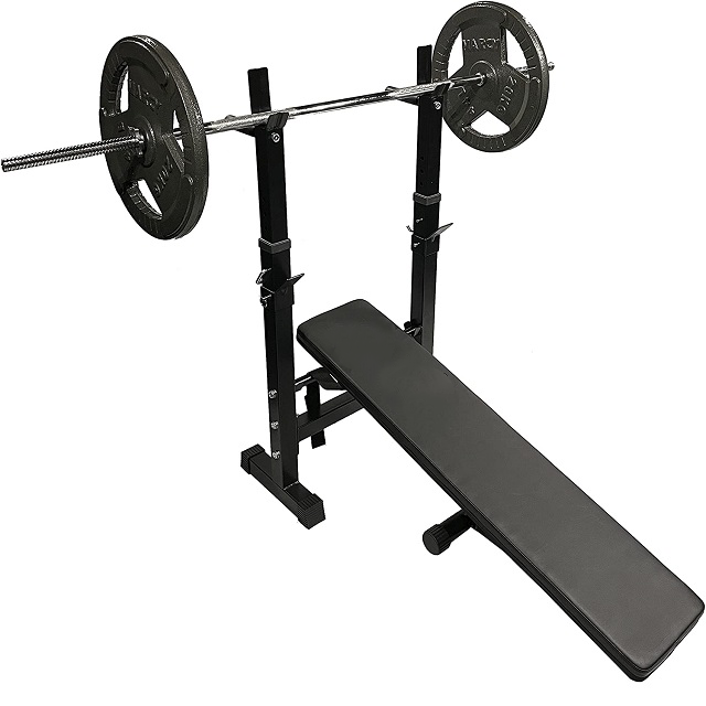 Wellshow Sport Home Gym Adjustable Folding Compact Weight Bench Barbell Rack Sit Up Bench Press With Rack And Dip Bars