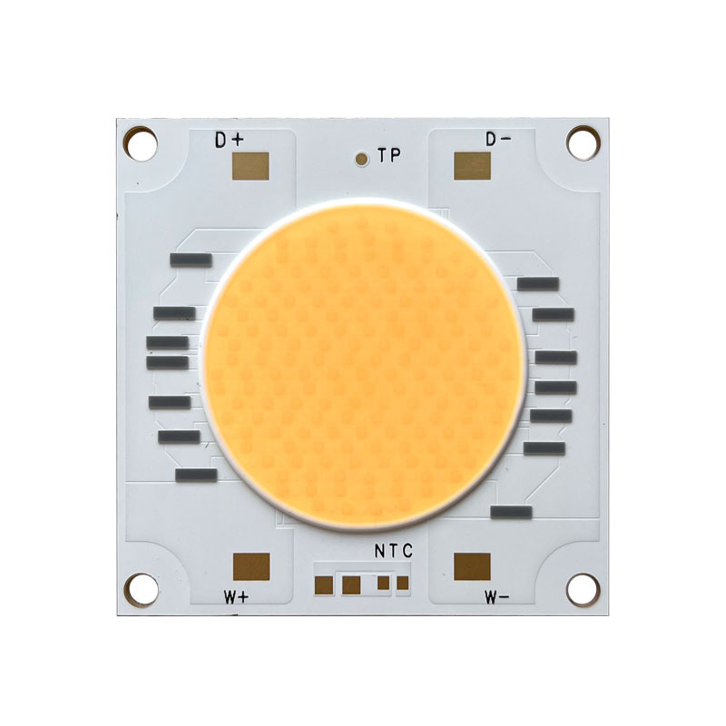 New Arrival 5454 Bicolor COB Chip High Power Led Chip 400W 2700K 6500K Super Bright COB