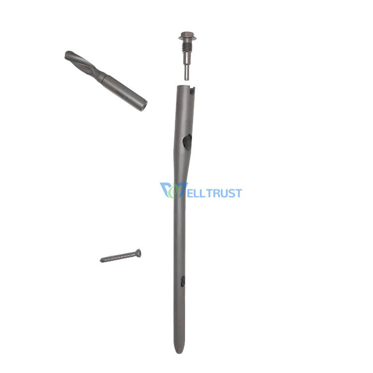 Antirotation Titanium Gamma Proximal Femoral PFNA Orthopedic Implant Set, Clavo Medico Clou Pfn Tibia Intramedullary Nail