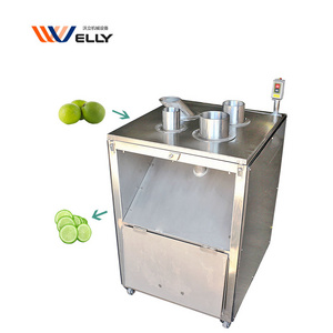 Automatic Press Down Small Papaya Commercial Potato Chips Slicer Onion Fries Cut Fruit Vegetable Slicing Machine