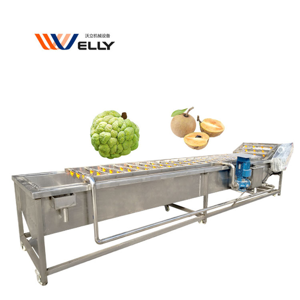 Industrial Potato Jiashi Fruit Cleaning Green Bean Corn Aubergine Washing Machine for Restaurant