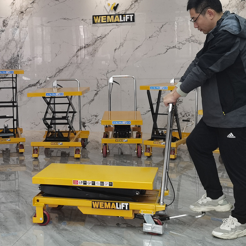 PTS double scissor platform lift table hydraulic platform truck lift table