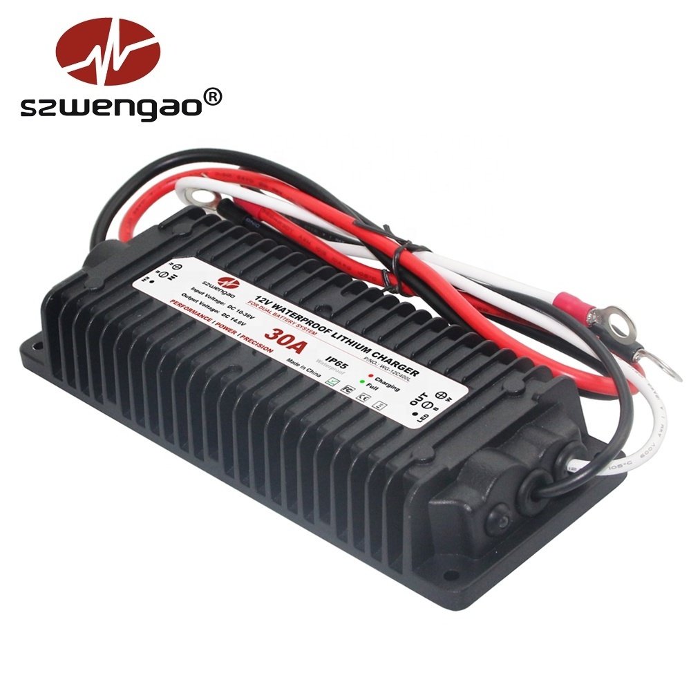 12V Waterproof Lifepo4 Lithium Charger 10-36V 13.8V 24V to 14.6V 30A DC DC Battery Chargers for E-bike E-scooter EV Boat RVs