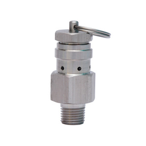 1/4" NPT 2BAR Pressure Relief Valve Adjuating Exhaust Valve