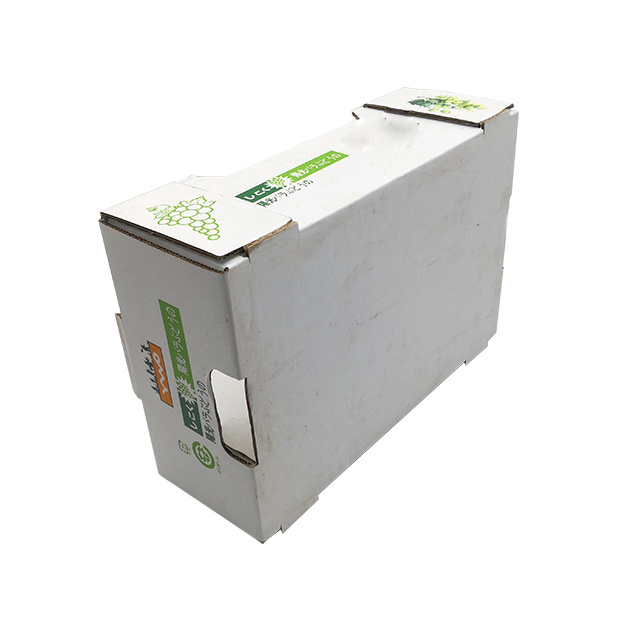 Custom Printing Fruit And Vegetable And Seafood Foldable Hard Corrugated Shipping Packaging Waxed Cardboard Boxes