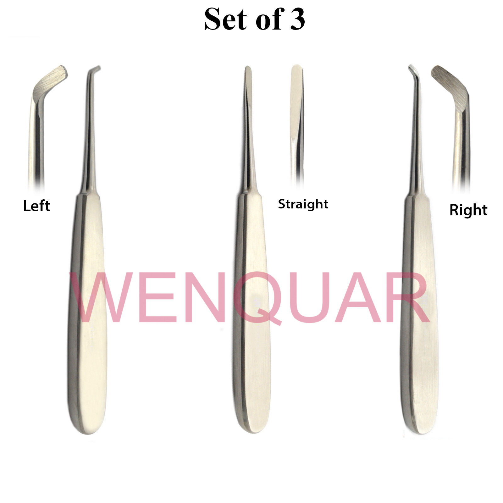 Dental Warwick James Surgical Tooth Loosening Elevators Veterinary Instruments High Quality Material