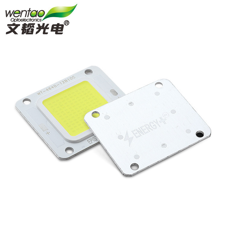 flip chip 4046 COB LED on board high power 50w 60w led chip light beads for street lamp flood lamp