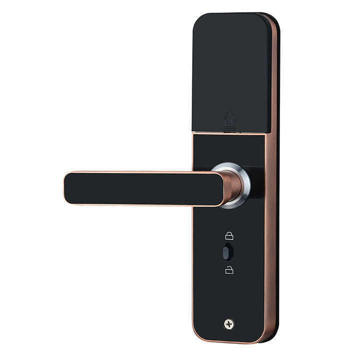 Security Anti Theft Smart Door Lock Tuya Wifi Biometric Intelligent Ttlock Electronic Fingerprint Door Lock