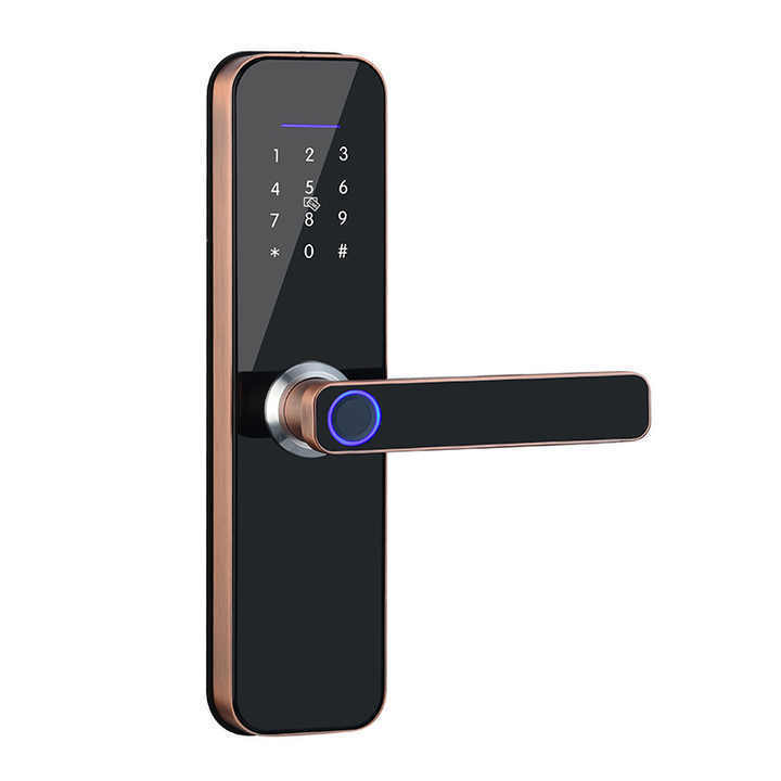 Security Anti Theft Smart Door Lock Tuya Wifi Biometric Intelligent Ttlock Electronic Fingerprint Door Lock