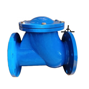 Wesdom DN50-DN350 PN16 Ductile Iron Flange Check Valve 4 inch Swing Check Valve for Water