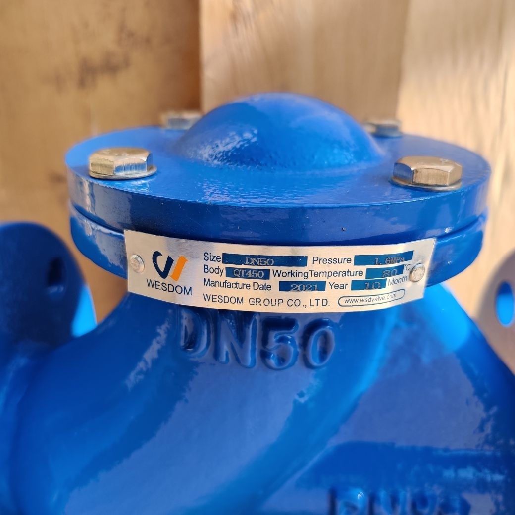 Wesdom DN50-DN350 PN16 Ductile Iron Flange Check Valve 4 inch Swing Check Valve for Water