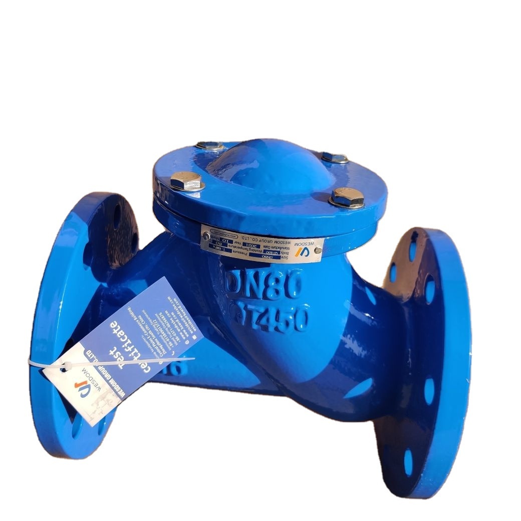 Wesdom DN50-DN350 PN16 Ductile Iron Flange Check Valve 4 inch Swing Check Valve for Water