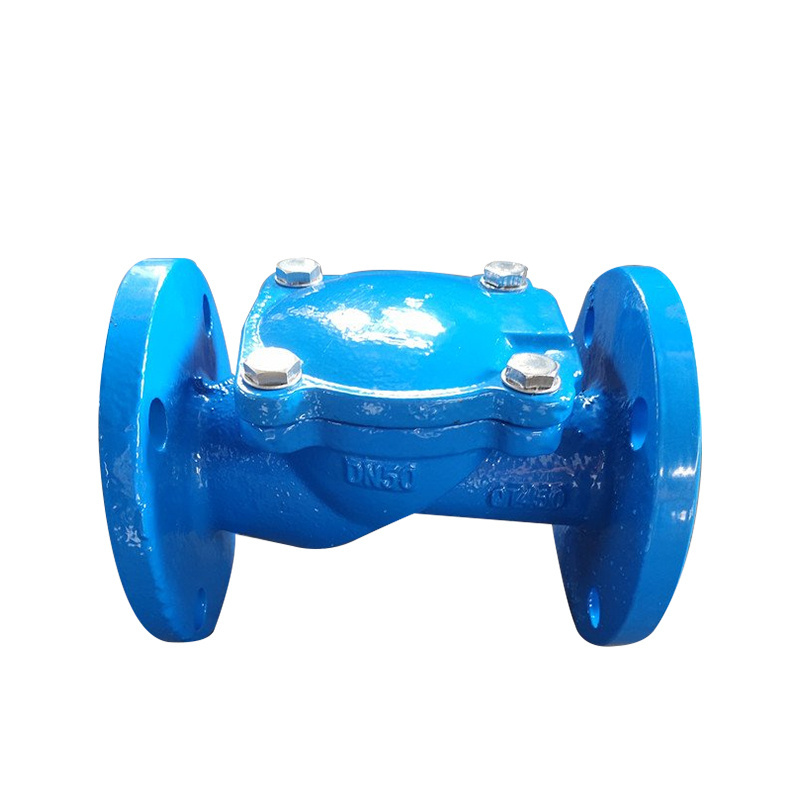 Factory Wholesale WESDOM backflow preventer valves ANSI/DIN/BS standard one way valve flange check valve price