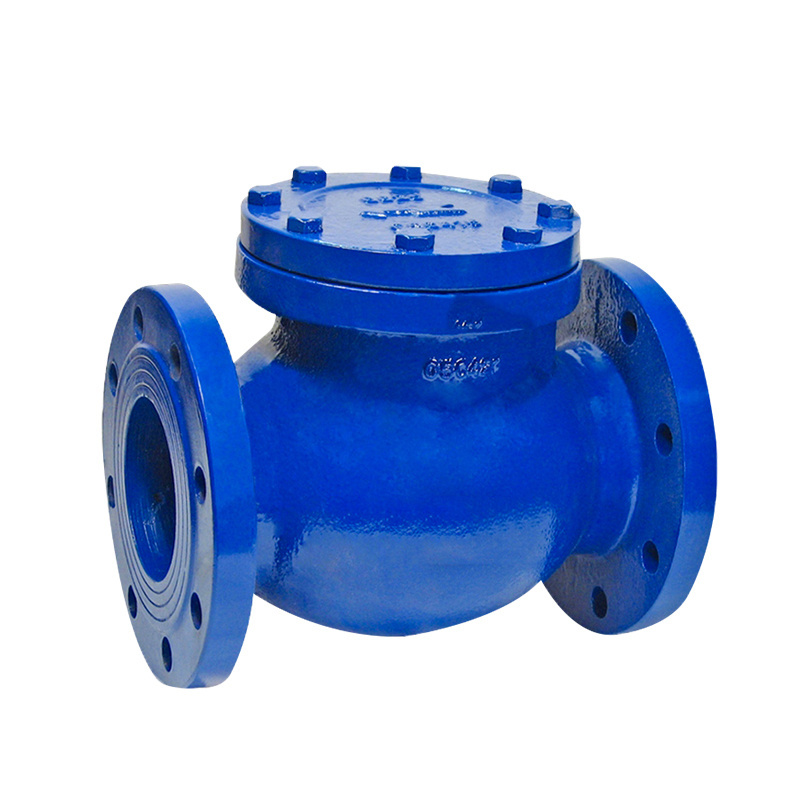 Factory Wholesale WESDOM backflow preventer valves ANSI/DIN/BS standard one way valve flange check valve price