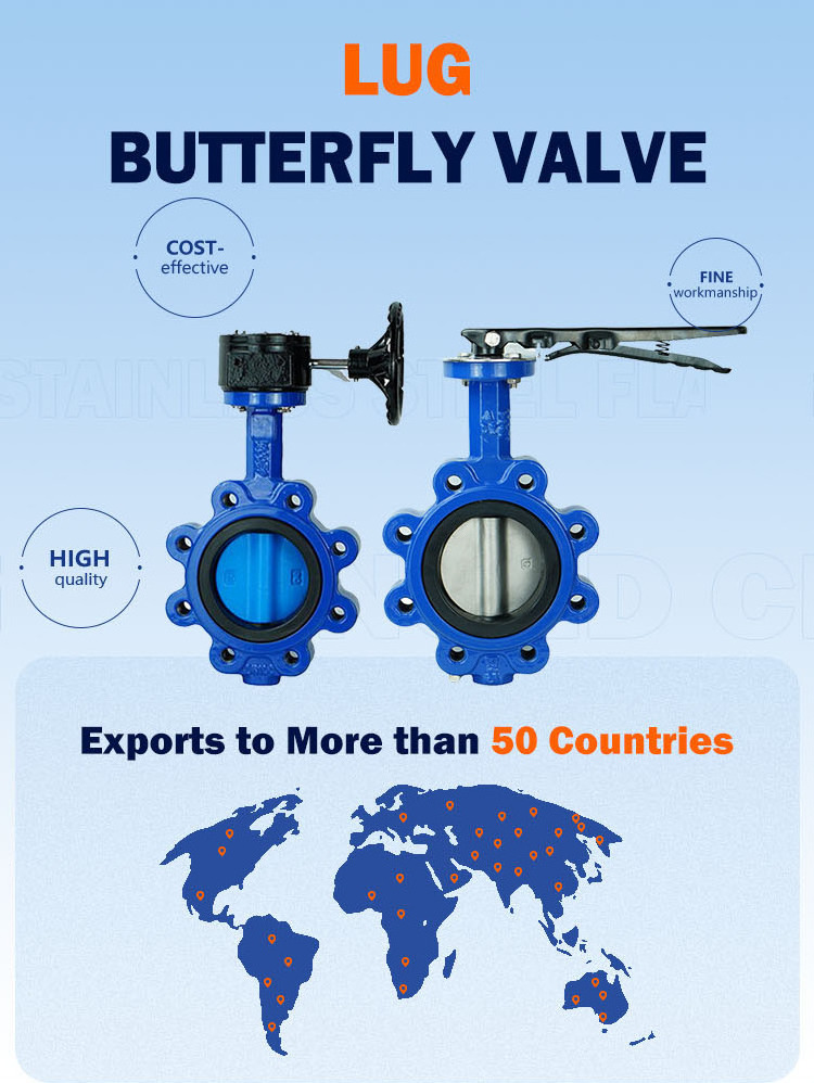 2024 Lever Wafer Lug Type ss316 /DI Butterfly Valve with gear box operator