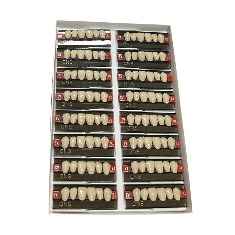 SND Brand Dental Acrylic Teeth 2 Layer Resin Teeth Denture Teeth 28*1/6*1/8*1