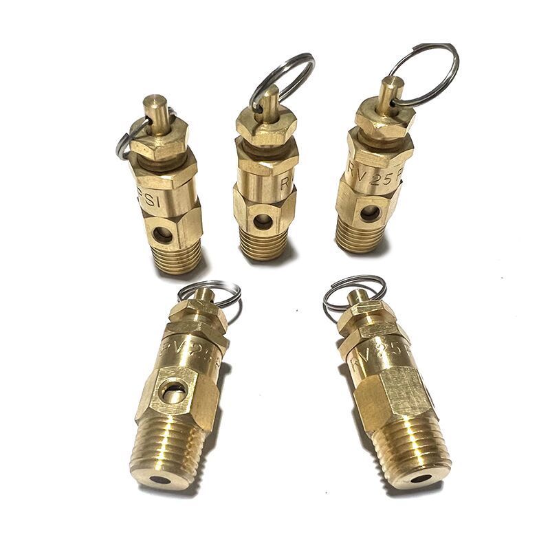 1/4 3/8 ASME Safety Relief Valves Control Devices psi 25